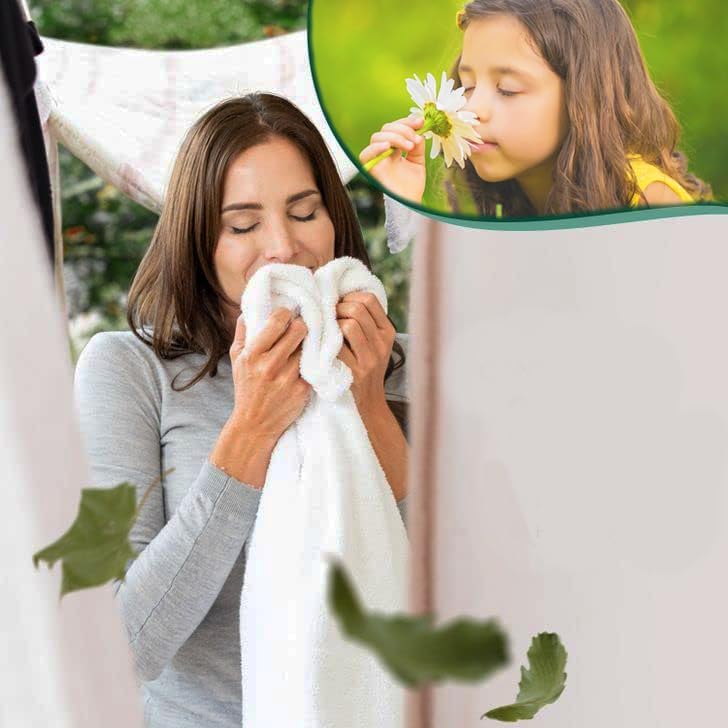 500 Single Laundry Dryer Sheets(6.4"x9")w/ Easy Dispenser Box Packaging,Household Premium 4 in 1 Fabric Softener Fresh Scent,Drive Clothes Ultra Soft,Plus 100 Pulls ZNRO 4-Ply 6.1"x6.9" Facial Tissues