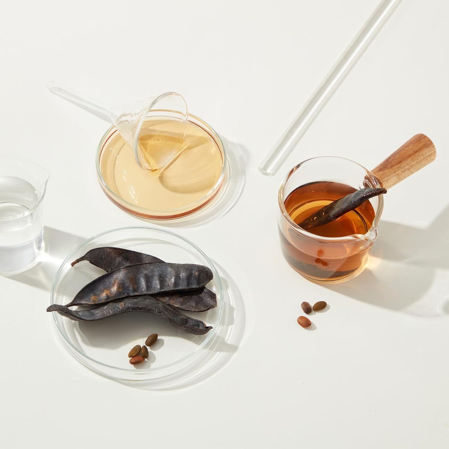 PATIKIL 3 Inch Clear Plastic Funnel, 8 Pcs Wide Mouth Multipurpose Transfer Funnel with Long Spout for Filling Water Bottle Liquid Lab Spices Powder Oil