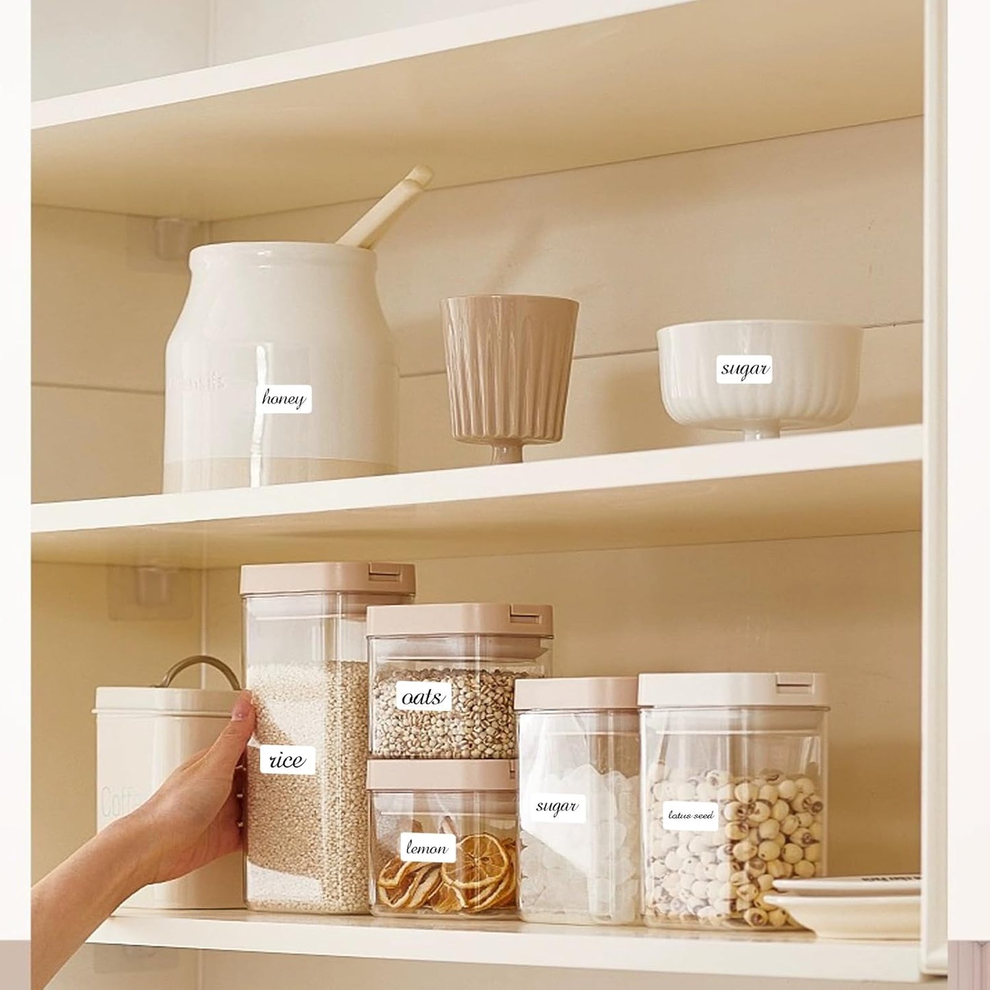 STARLIBOO Removable Labels, Removable Colored Labels Stickers, Self-Adhesive Rectangular Stickers Water/Oil/Tear Resistant for Food Containers/Classroom/Storage (8 Colors, 360 Labels)