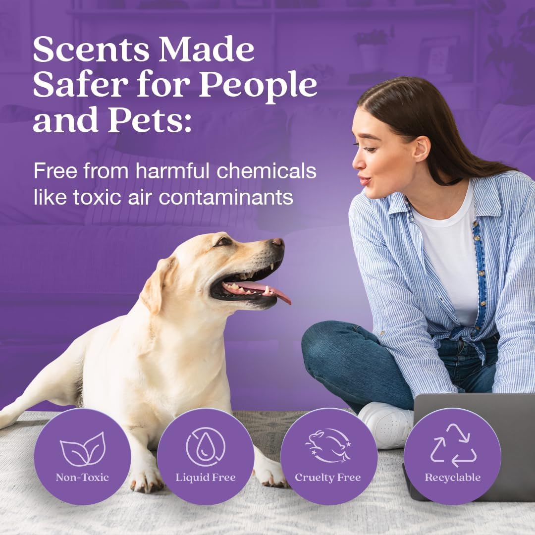 Enviroscent Non-Toxic Air Freshener for Home | Liquid Free Diffuser | Home Fragrance Lasts Over 30 Days | Kit includes 1 Mango Wood Stand & 1 Scent Stix Refill (Lavender Tea & Honey)