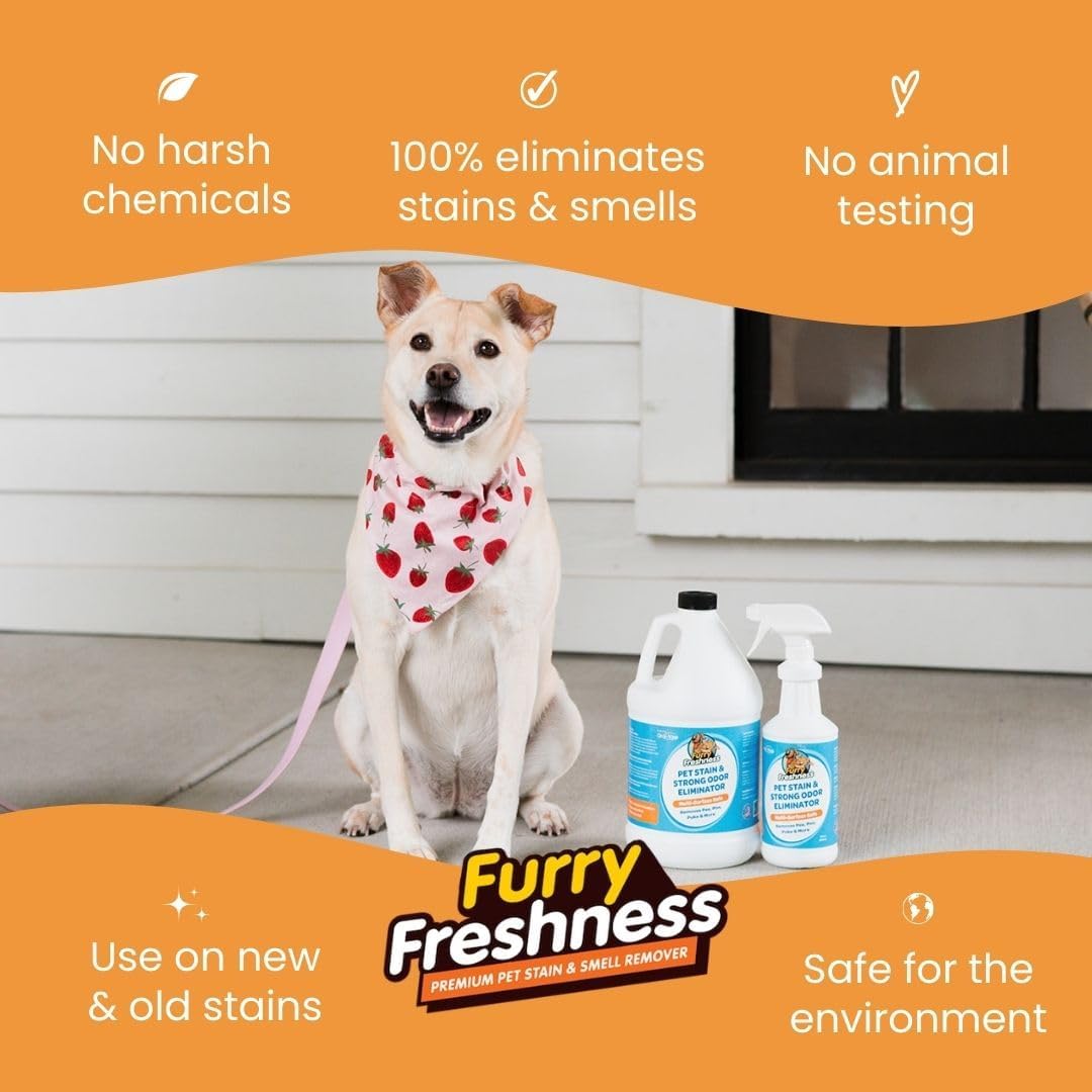 FurryFreshness Extra Strength Cat or Dog Pee Stain & Permanent Odor Remover + Smell Eliminator -Removes Stains From Pets & Kids Including Urine or Blood- Lifts Old Carpet Stains- (2 Pack)