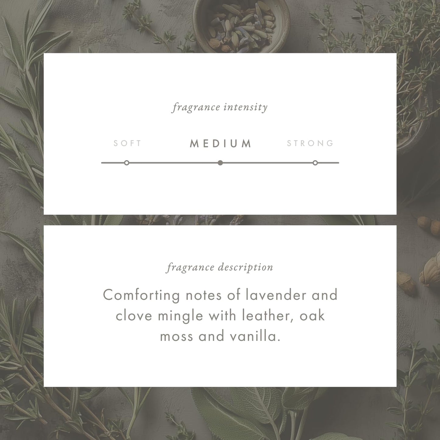 ScentAir Whisper Home Monthly Plug-in Refill, Fragrance Cartridge for Home and Office, Amazon Exclusive, Leather Woods