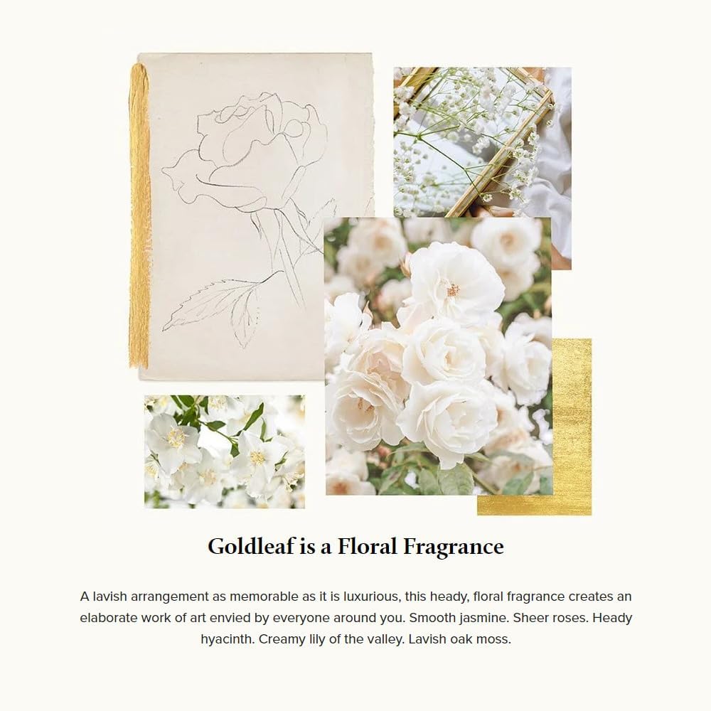 Thymes Reed Diffuser Oil - 7.75 Fl Oz – Goldleaf