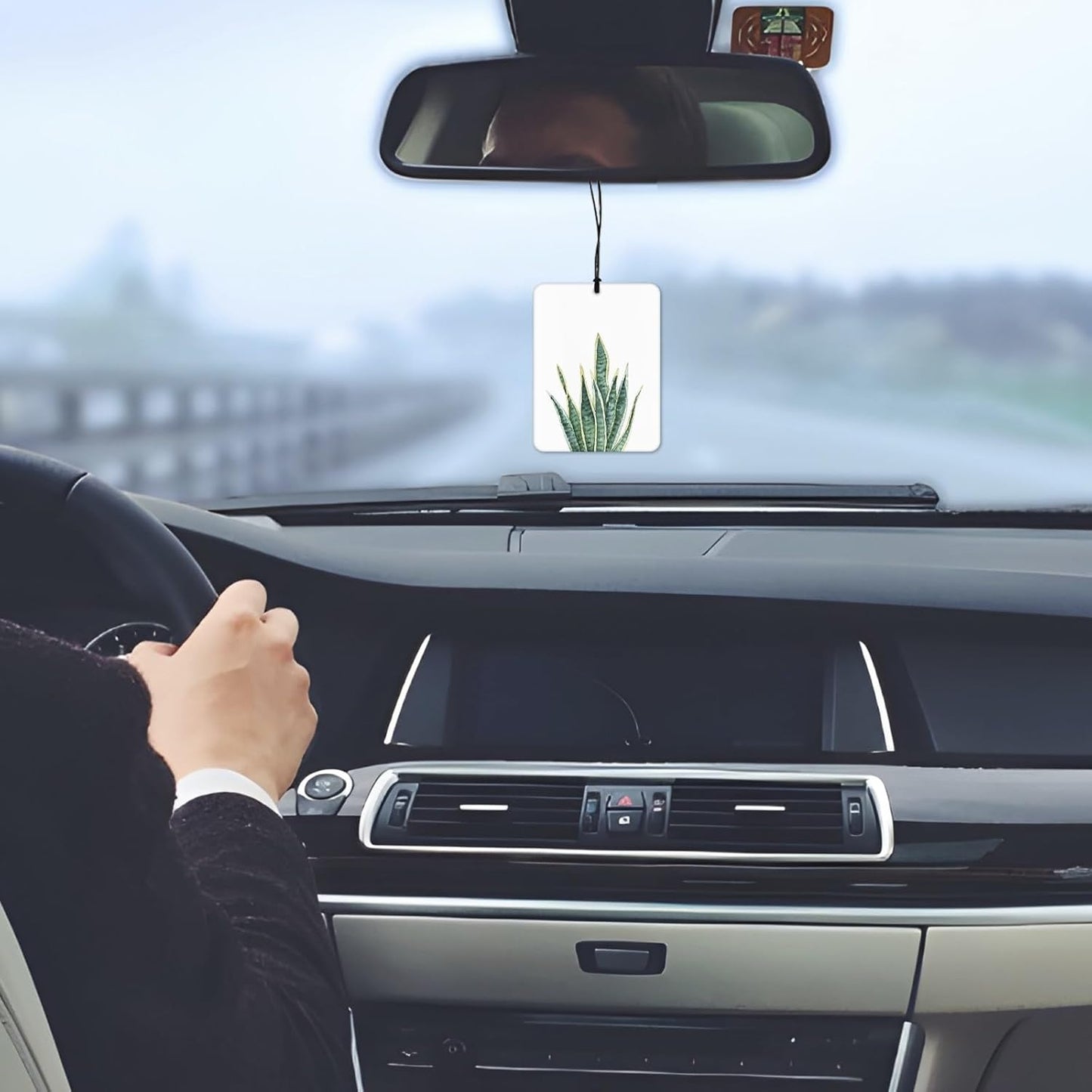 Tropical Leafy Botanical Car Air Freshener 4 Pcs, Green Eucalyptus Monstera Leaf Plant Hanging Scents Air Freshener for Women Men Gifts, Rustic Scented Car Accessories Decor for Room Closet