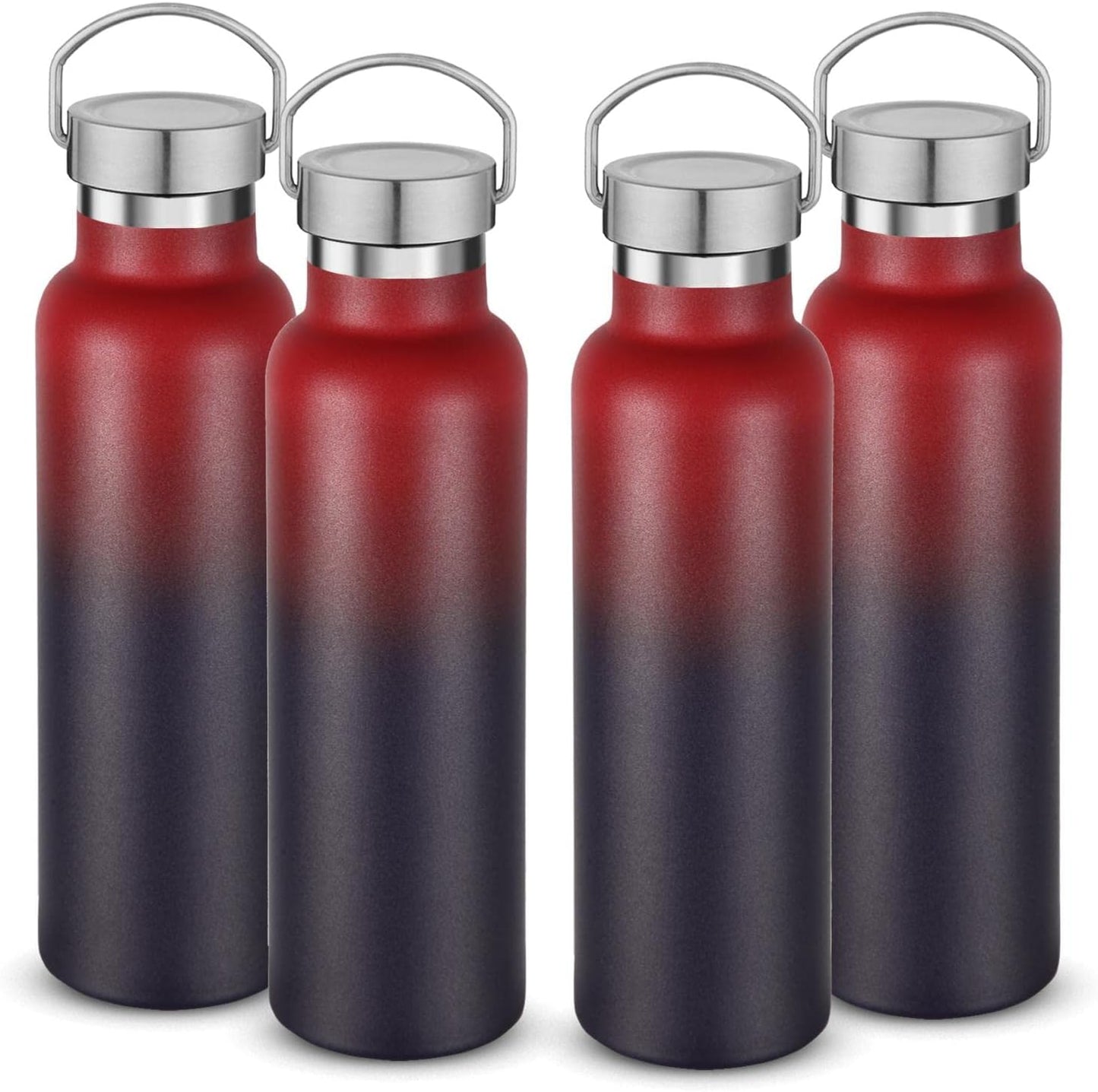 Neihepal 20 oz Insulated Water Bottles Bulk 4 Pack,Stainless Steel Double Wall Sport Bottle with Lid of Handle,Metal Reusable Thermoses Flask for School,Cyclists,Hikers,Gift (Dark Rainbow,Set of 4)