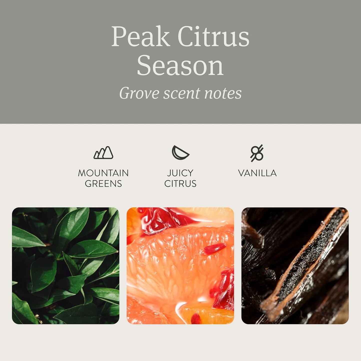 Drift Car Air Freshener - The Original Stone Air Freshener - Car Odor Eliminator - Long Lasting Scent - Metal Clip - Essential Oils - Clean Ingredients - Grove Scent 3 Pack Refill - NO CLIP INCLUDED