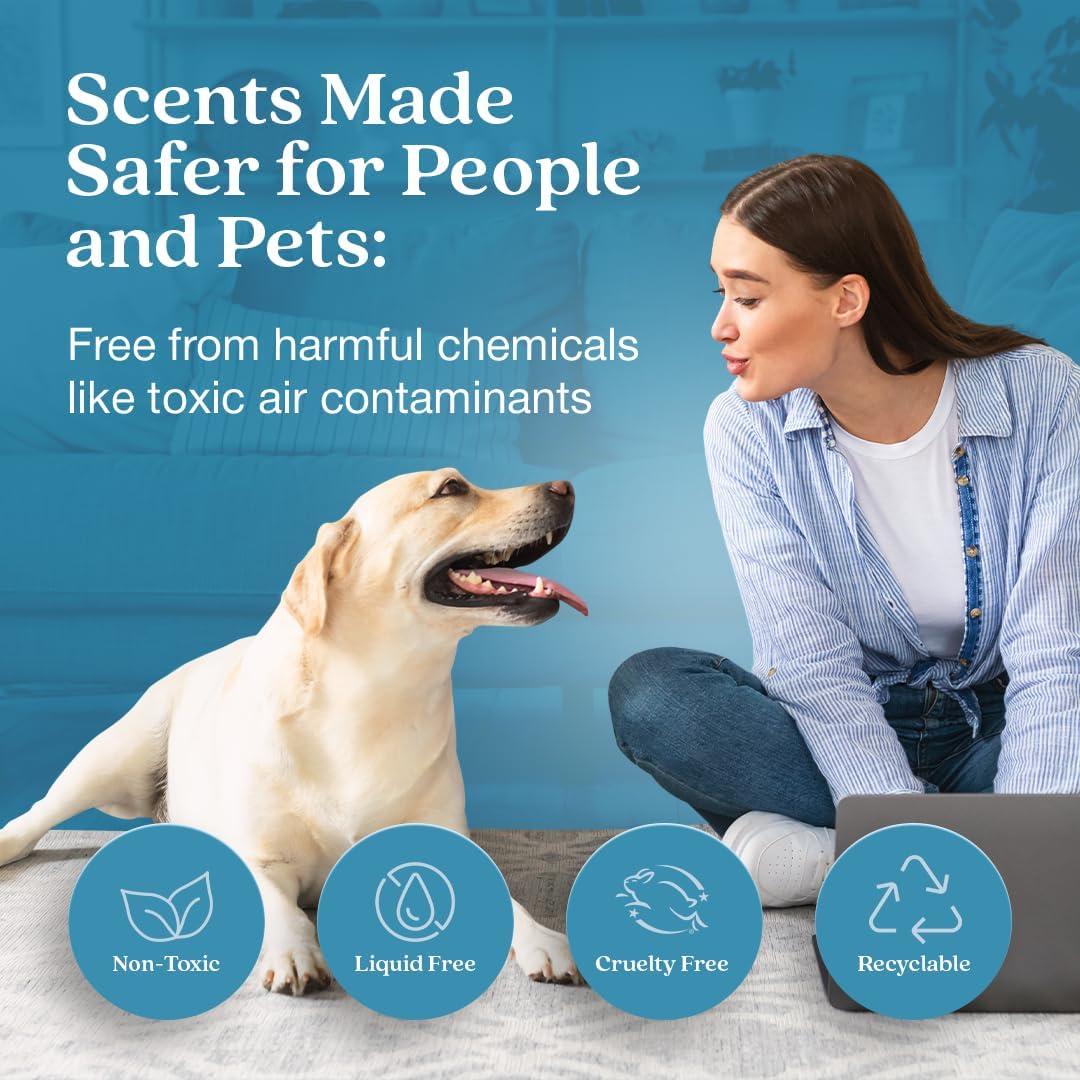 Enviroscent Non-Toxic Air Freshener for Home Essential Oil Diffuser | Fragrance Lasts Over 30 Days | Kit includes 1 Mango Wood Stand & 1 Scent Stix Refill (Rainwater & Bamboo)