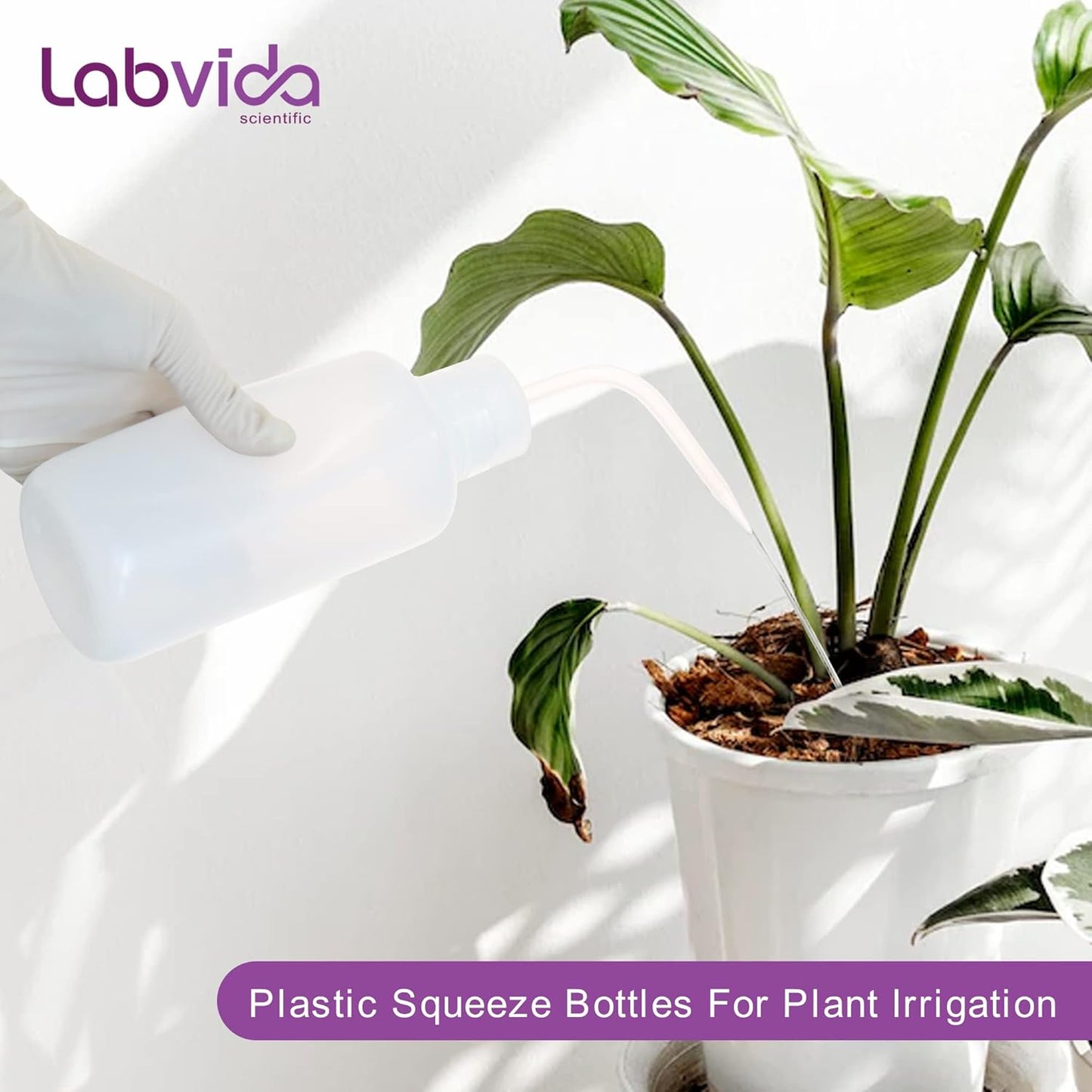 New Released Thick Wall 250ml Squeeze Bottle Set 2pcs- Laboratory Grade Durable Wash Bottles for Precision Liquid Dispensing and Tattoo Cleaning