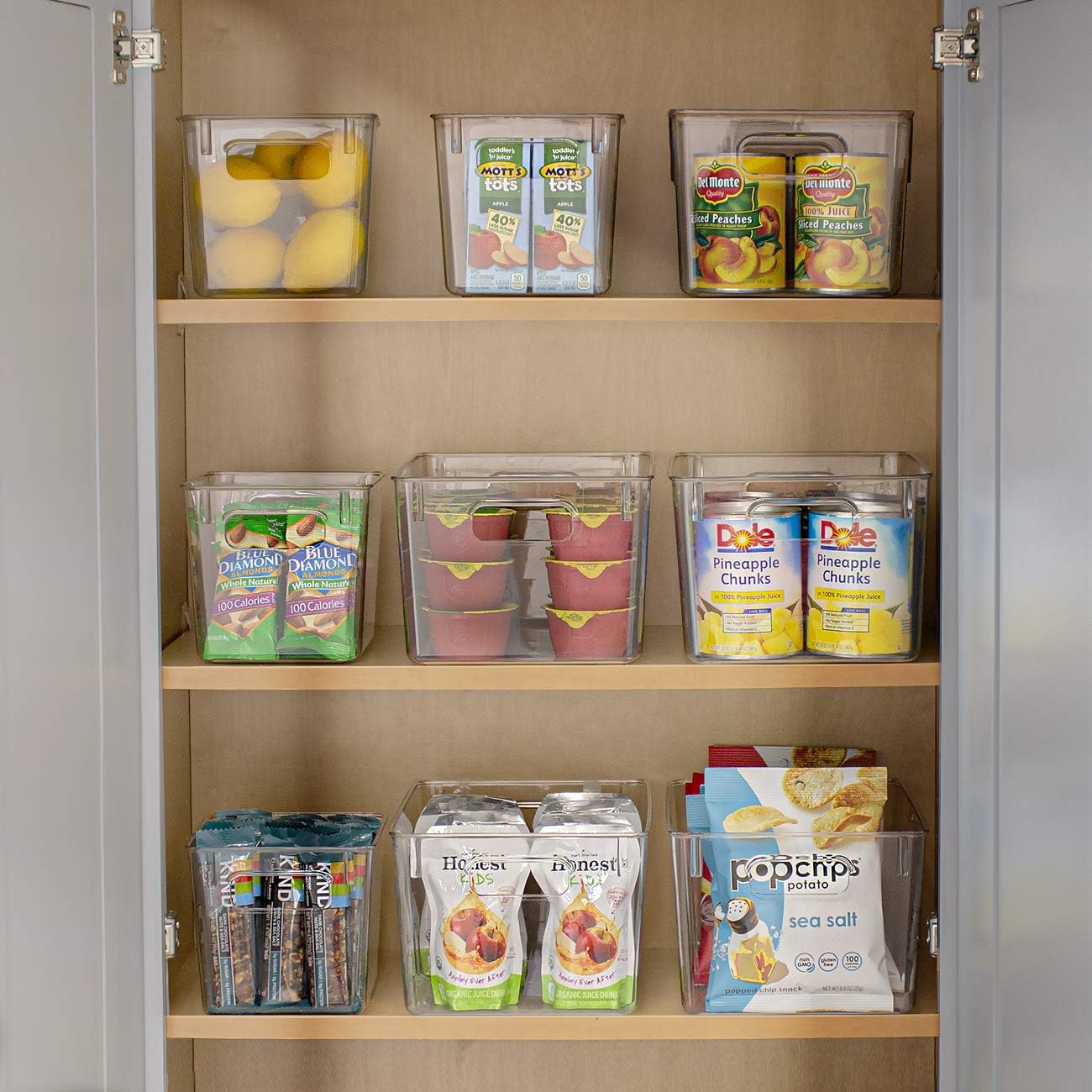 Sorbus 2 Pack Medium Clear Plastic Storage Bins, Clear Organizer Bins with Handle for Kitchen, Pantry, Cabinet, Refrigerator, Craft, Toys, Clothes, Closet, Under Sink, Bathroom Organizers and Storage