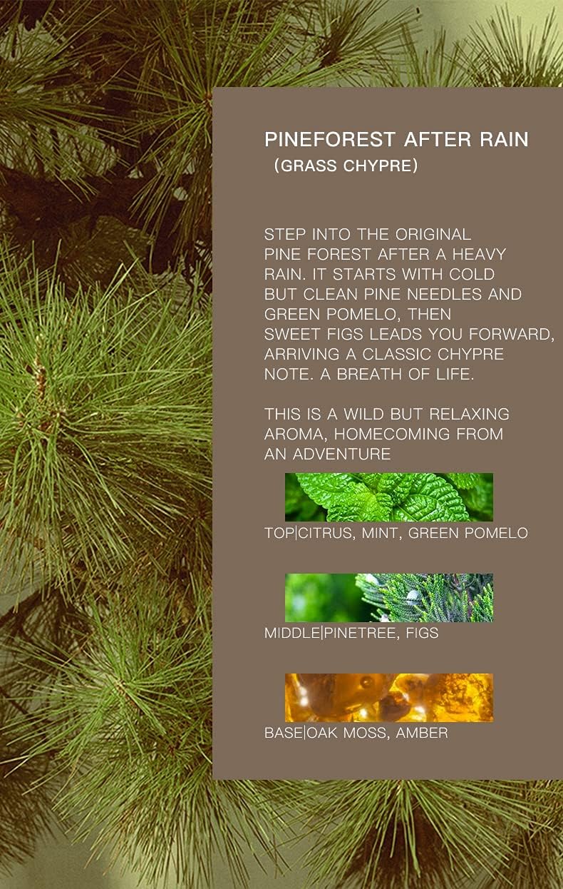 Tesla Air Freshener for Model 3 and Y - Invisible Slim Design - Lasts 3+ Weeks - Aromatherapy Scent - Auto Odor Eliminator (Pineforest After Rain Refills ONLY) Dark Gray