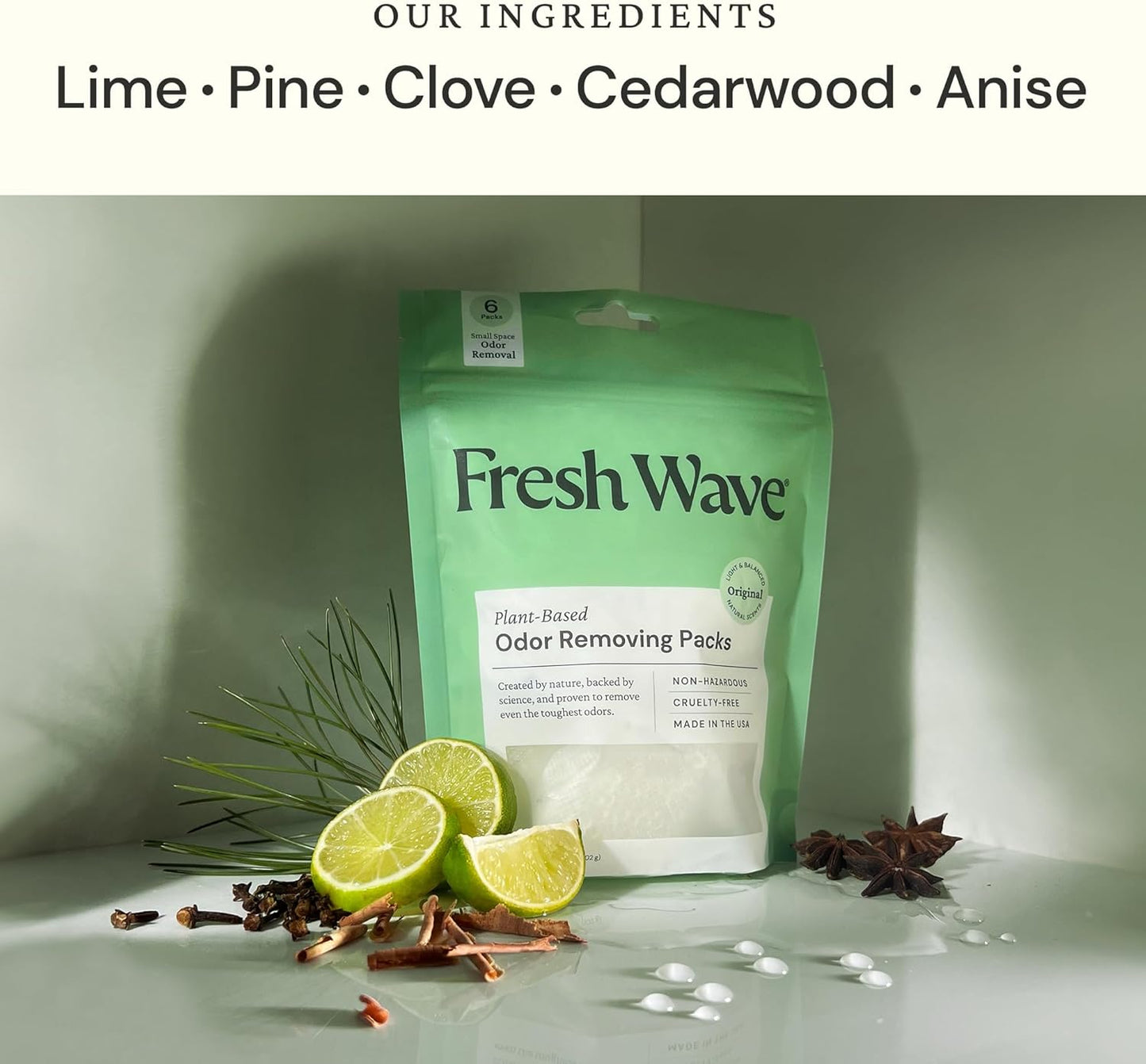 Fresh Wave Original Odor Eliminating & Deodorizing Packs - Bag of 6 & Fresh Pod Case - Safer Odor Relief for Small Spaces, Natural Plant-Based Odor Eliminator, Odor Absorbers for Home