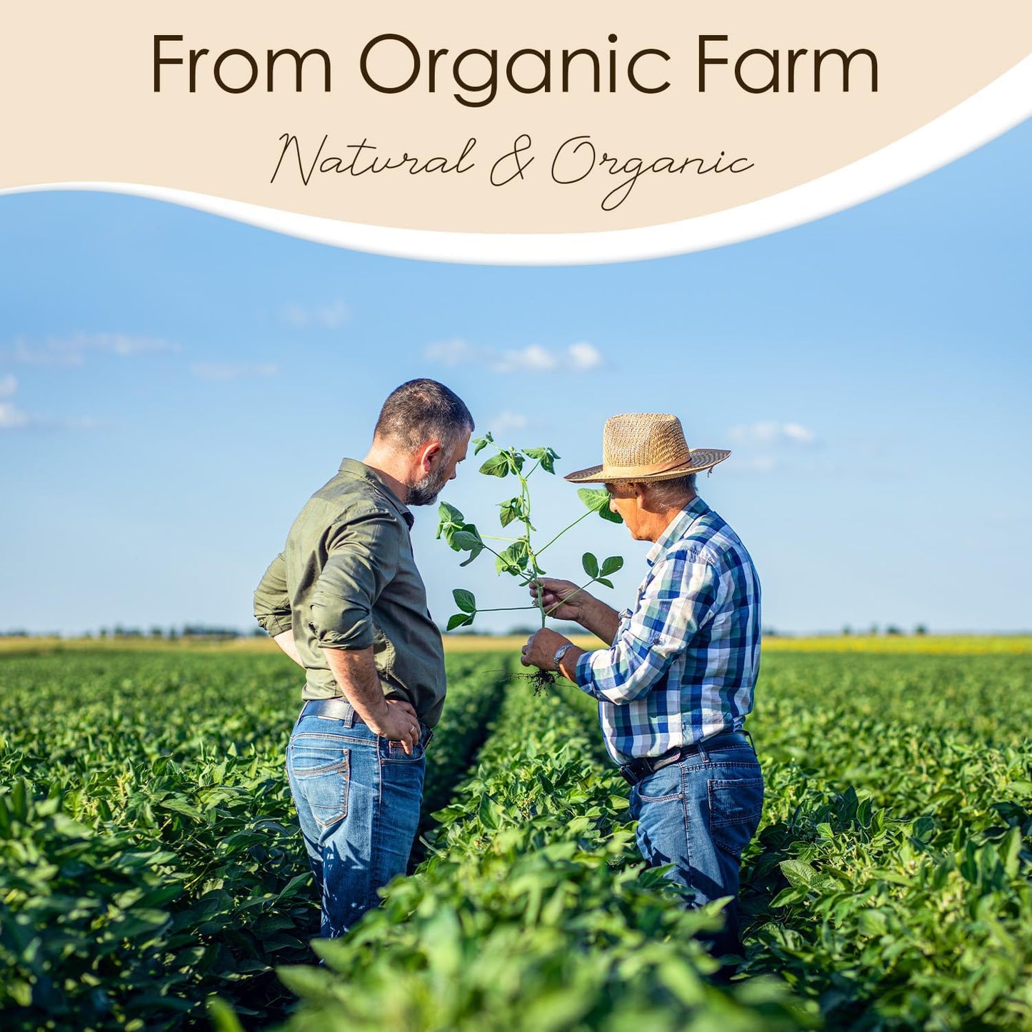 CHILLFLAME Soy Wax Flakes, Natural Candle Wax, Organic Soy Wax for Candle Making from Farm, No Harmless, Additives, and Pure (10 lb)