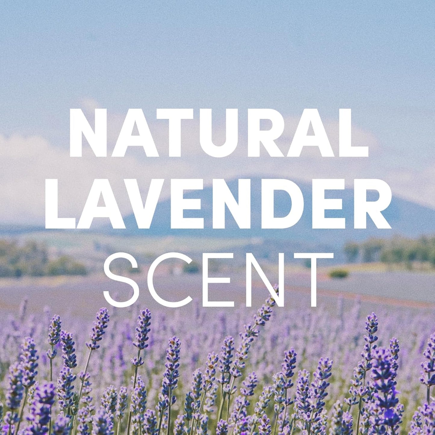 Clean Revolution Foaming Hand Soap Refill Supply Container, Ready to Use Formula, Natural Lavender Fragrance, 64 Fl Oz (Pack of 1)