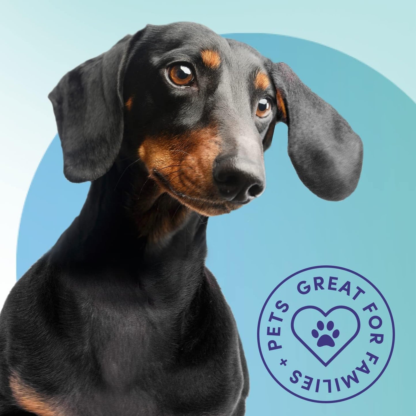 Bioesque Advanced Stain + Odor Remover, Pet-Friendly Natural Enzymatic & Bacterial Formula, Heavy-Duty Stain & Odor Remover, Safe on Carpets, Hard Floors, & More, 32 Fl Oz (Pack of 1)