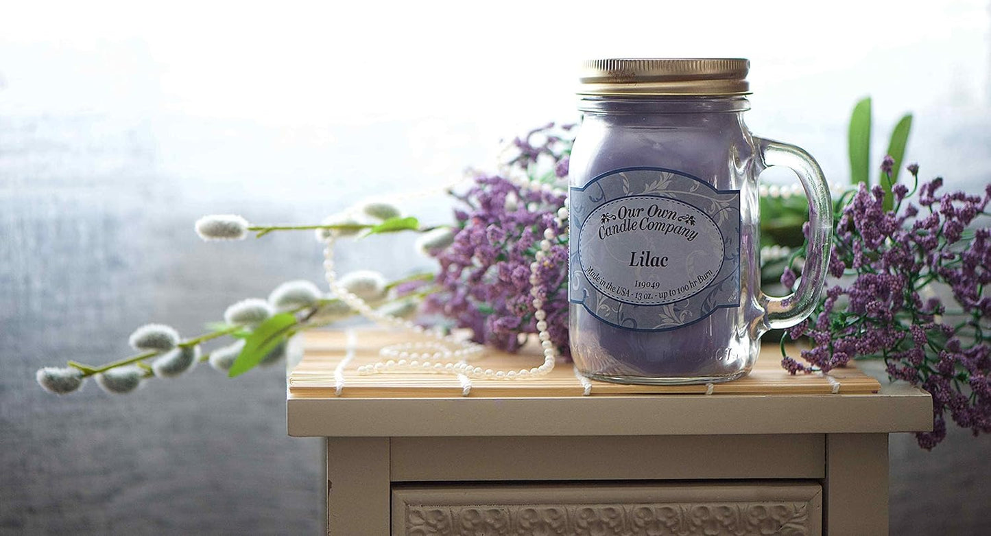 Our Own Candle Company Premium Wax Melt, Macintosh, 6 Cubes, 2.4 oz (4 Pack)