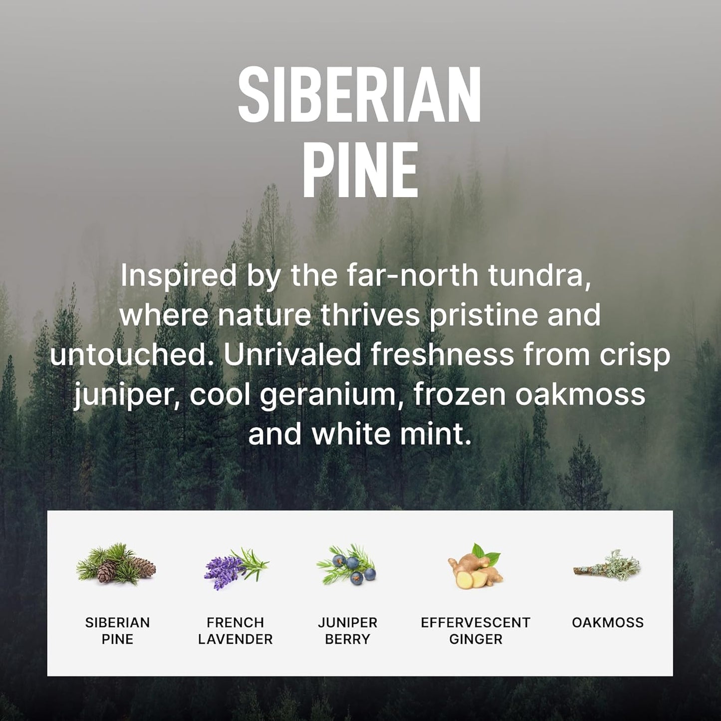 Laundry Sauce - Signature Bundle Siberain Pine, Scented Laundry Detergent Pods & Scent Booster, Fabric Softener, Dryer Sheets, Fabric Protection, Essential Oils, Long Lasting Luxury Fragrance