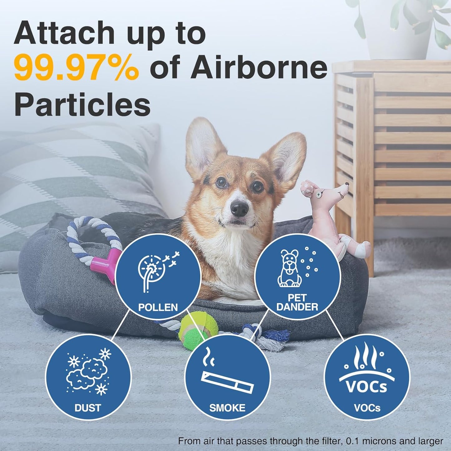 HPA300 HEPA Air Purifier Filter R for Honeywell Air Purifier HPA100/200/300 and 5000 Series, 9 Pack HEPA Filter Compatible with Honeywell R Filter (HRF-R3 & HRF-R2 & HRF-R1)