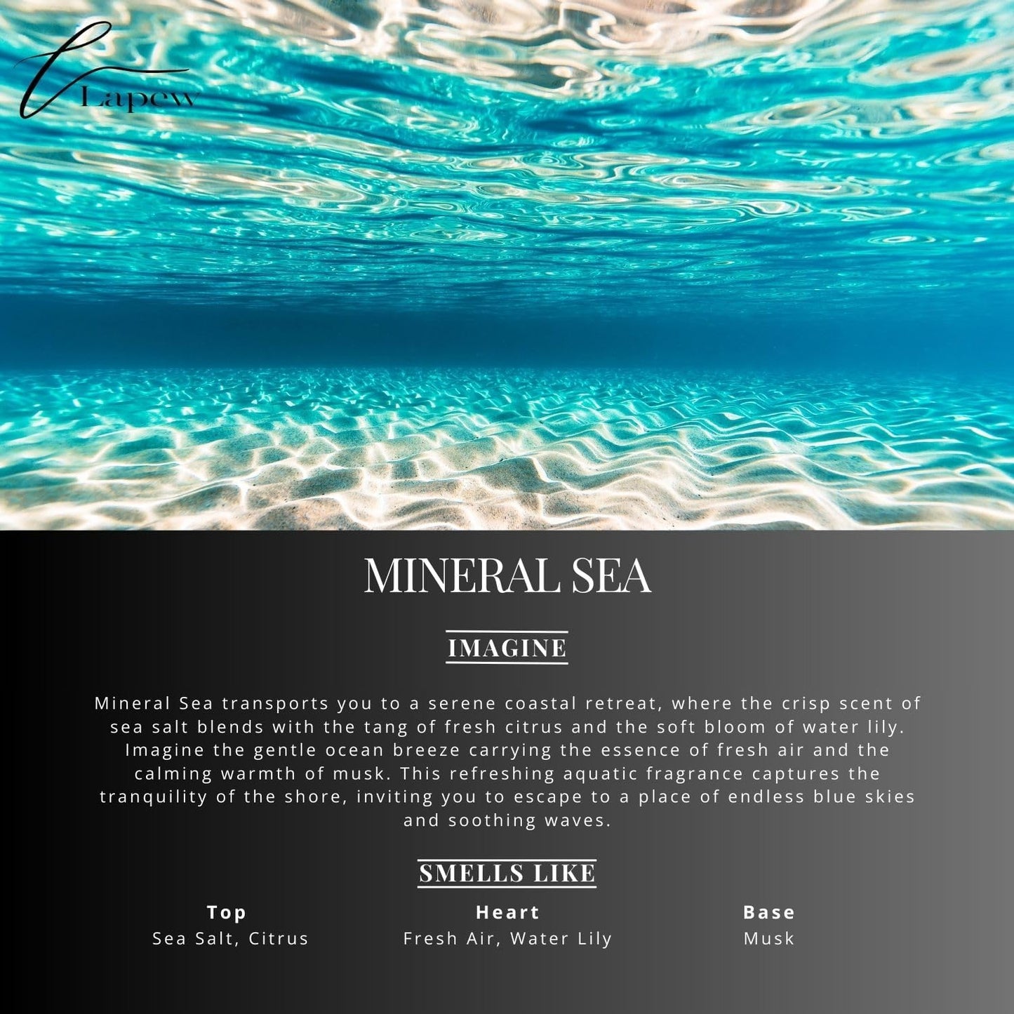 Mineral Sea Carpet Freshener Powder: Powerful Odor Eliminator for Home, Upholstery Deodorizer, Carpet Deodorizer, Pet Urine, Cat Litter Box - Mineral Sea Fragrance