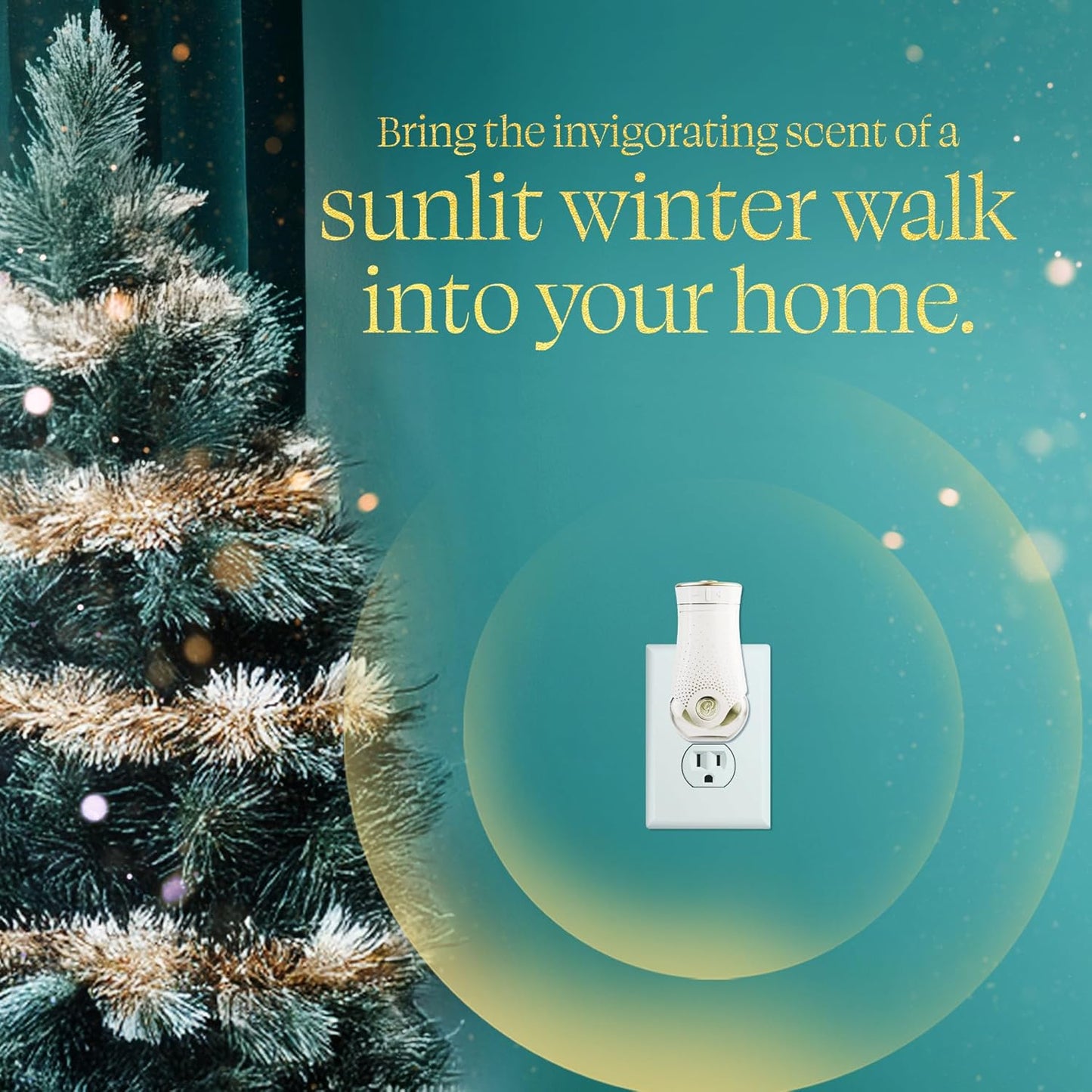 Glade PlugIns Refills Air Freshener, Bergamot & Eucalyptus, Scented and Essential Oils for Home and Bathroom, 0.67 Fl Oz, 5 Count