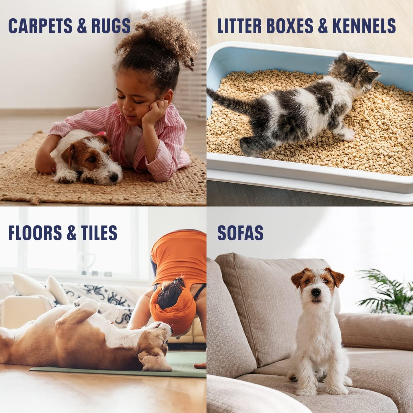 Bioesque Advanced Stain + Odor Remover, Pet-Friendly Natural Enzymatic & Bacterial Formula, Heavy-Duty Stain & Odor Remover, Safe on Carpets, Hard Floors, & More, 32 Fl Oz (Pack of 1)