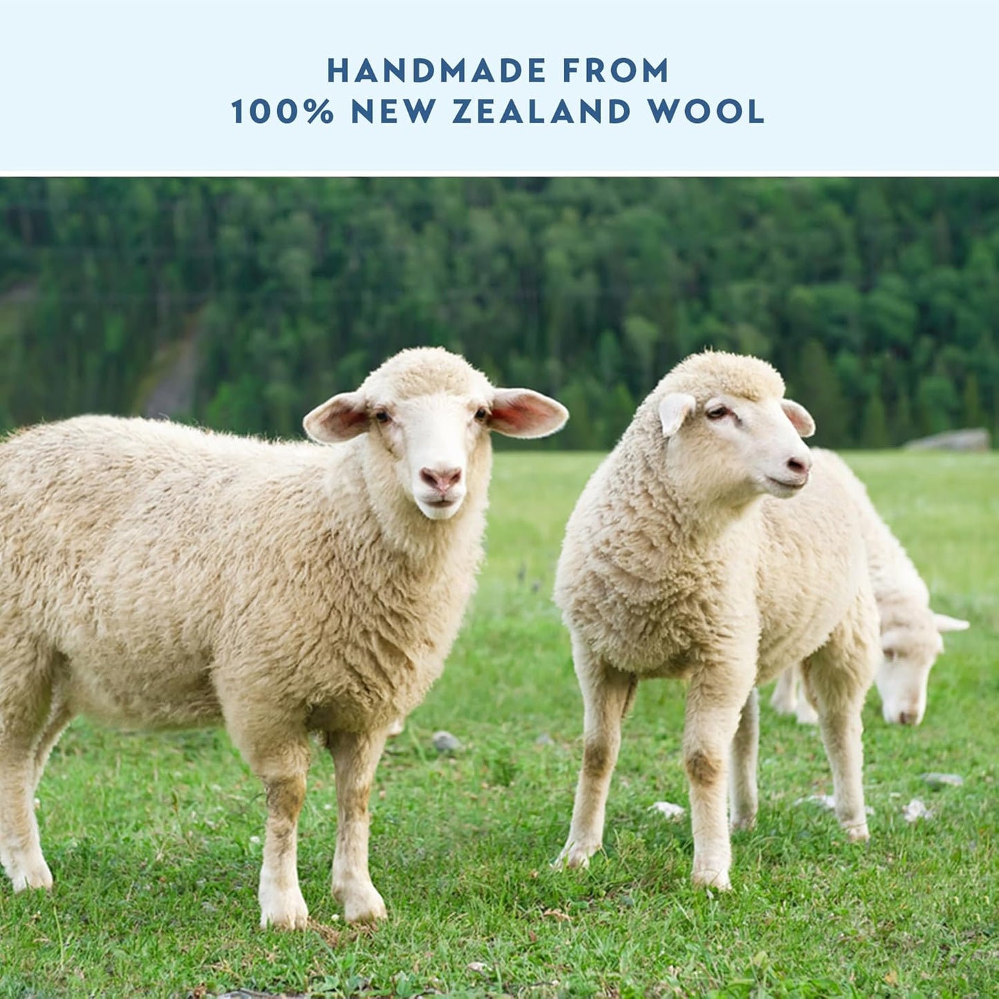 ELYN Wool Dryer Balls 6-Pack - XL, 100% New Zealand Wool, Reusable and Handmade. Fragrance-Free, Natural Fabric Softener, Reduce Wrinkles and Decrease Drying Time (White)