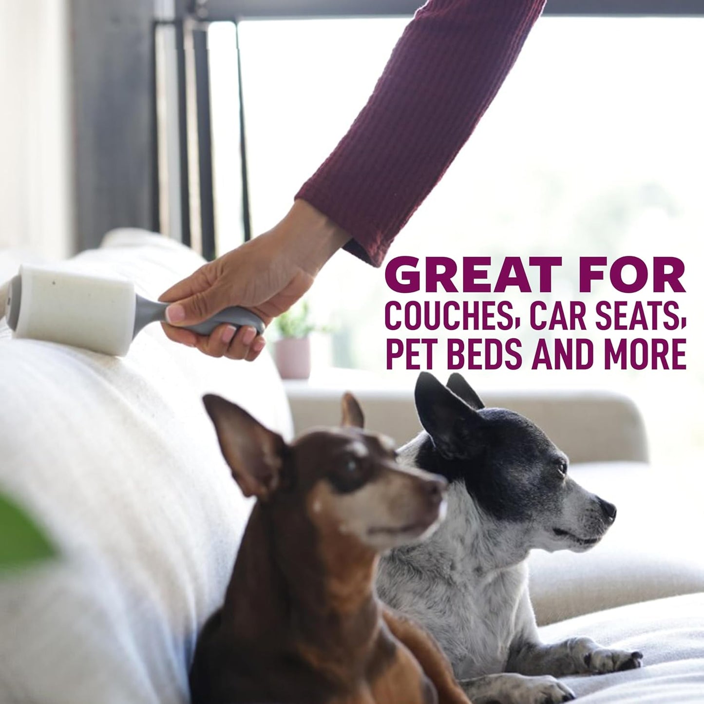 Scotch-Brite Pet Extra Sticky Hair Lint Roller 6 Rollers 600 Sheets