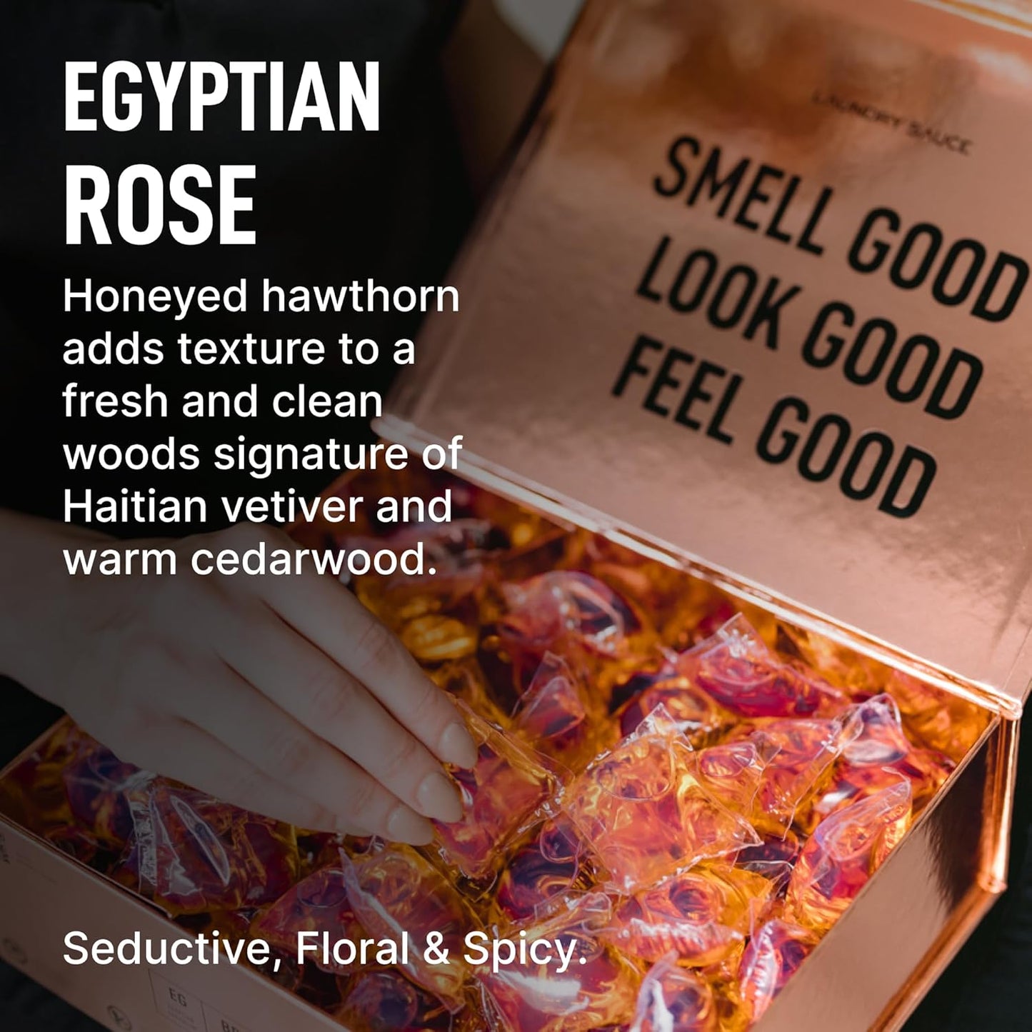 Laundry Sauce - Signature Bundle Egyptian Rose, Scented Laundry Detergent Pods & Scent Booster, Fabric Softener, Dryer Sheets, Fabric Protection, Essential Oils, Long Lasting Luxury Fragrance