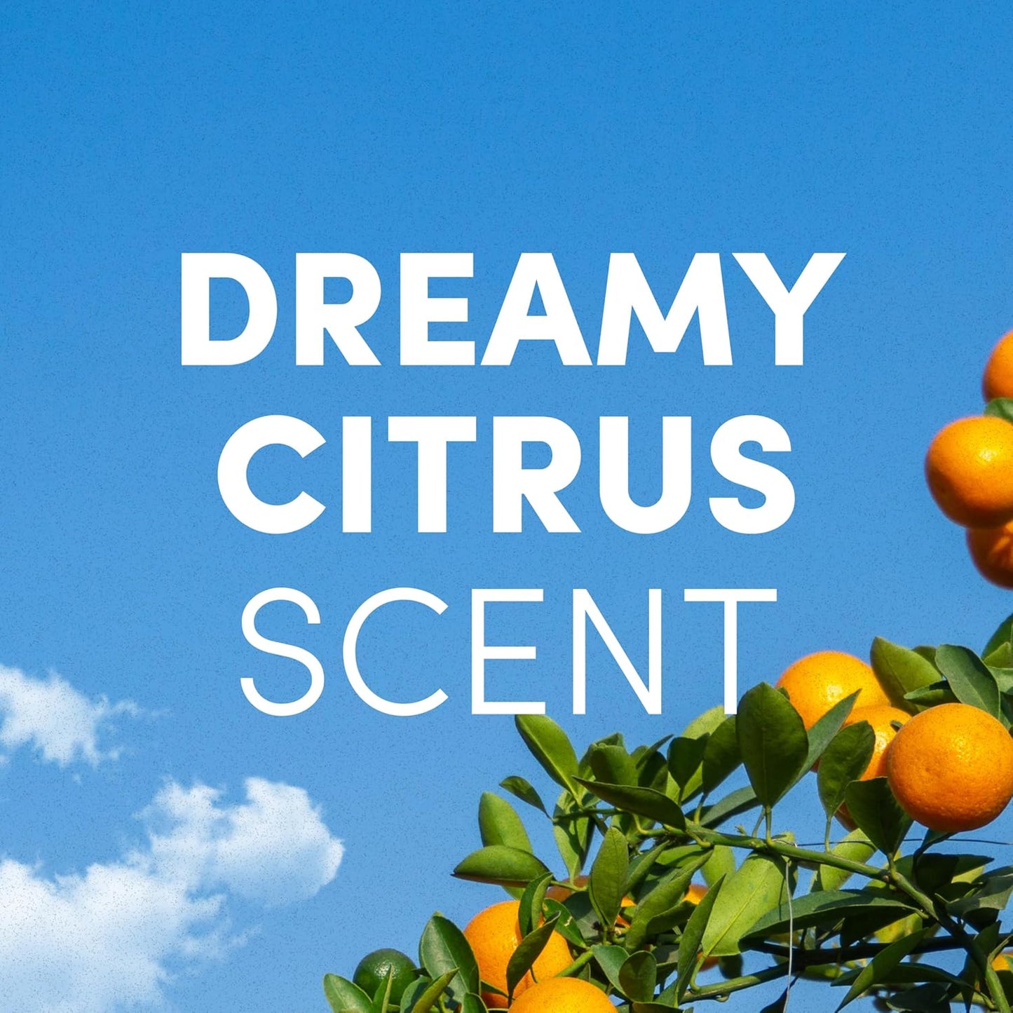 Clean Revolution Foaming Hand Soap Refill Supply Container, Ready to Use Formula, Dreamy Citrus Fragrance, Gluten Free, 128 Fl. Oz