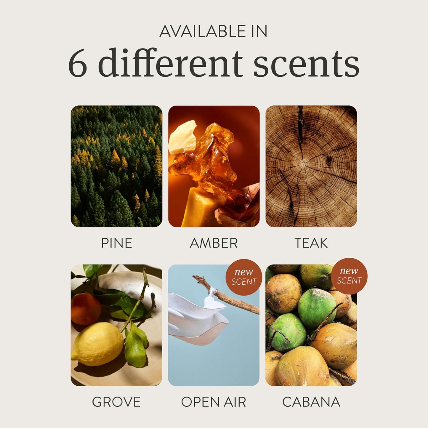 Drift Car Air Freshener - Stone Air Freshener Starter Set - Car Odor Eliminator - Pine Scent