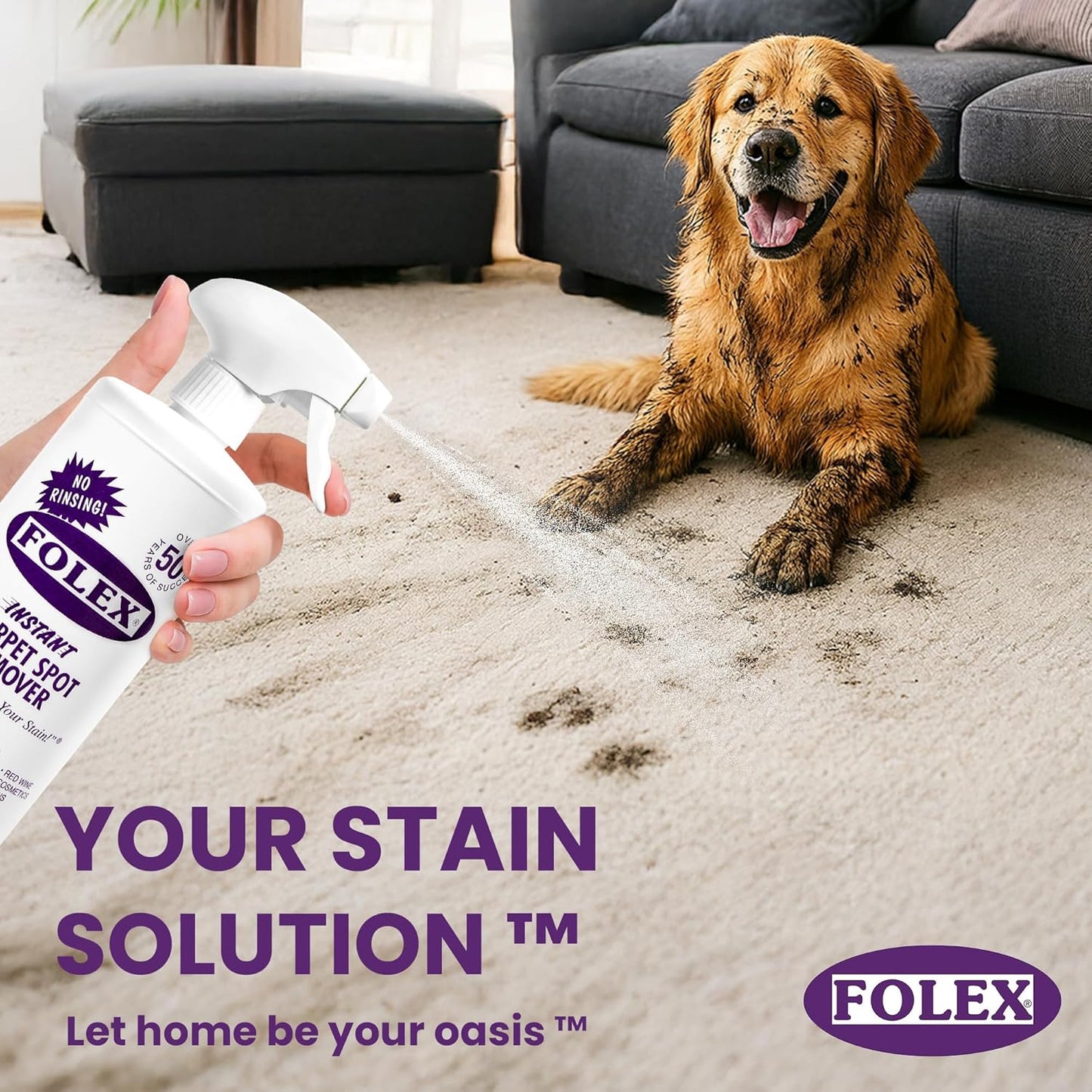 FOLEX 32 oz Instant Carpet Spot Remover Carpet Cleaner with Reusable Cleaning Cloth - Removes Pet Accidents, Grease, Red Wine and More (6 Pack)