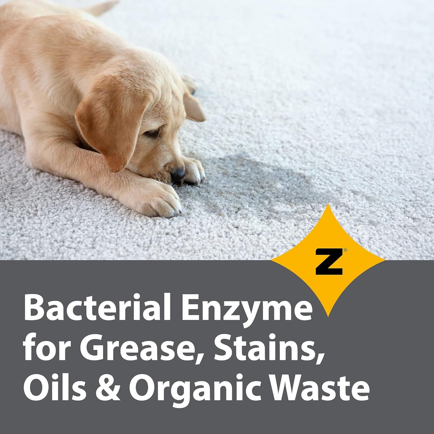 Pro-Grade Multi-Purpose Probiotic Enzyme Cleaner - Powerful Cleaning & Odor Eliminating Formula For Professional & Home Surfaces - 32 Ounce - Fragrance Free, 2 Pack
