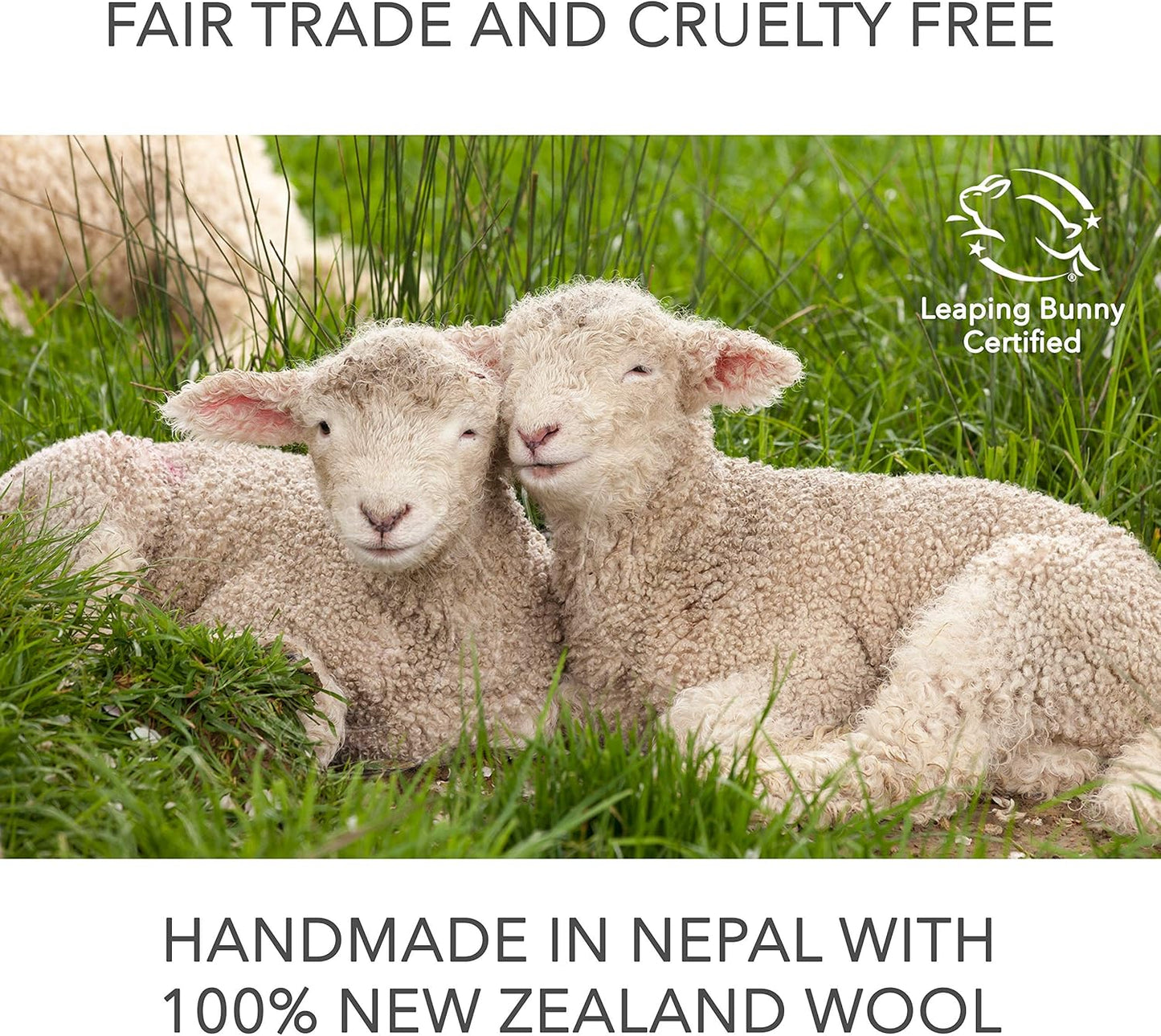 Friendsheep Wool Dryer Balls 6 Pack XL Organic Premium Reusable Cruelty Free Handmade Fair Trade No Lint Fabric Softener - Harvest Moon