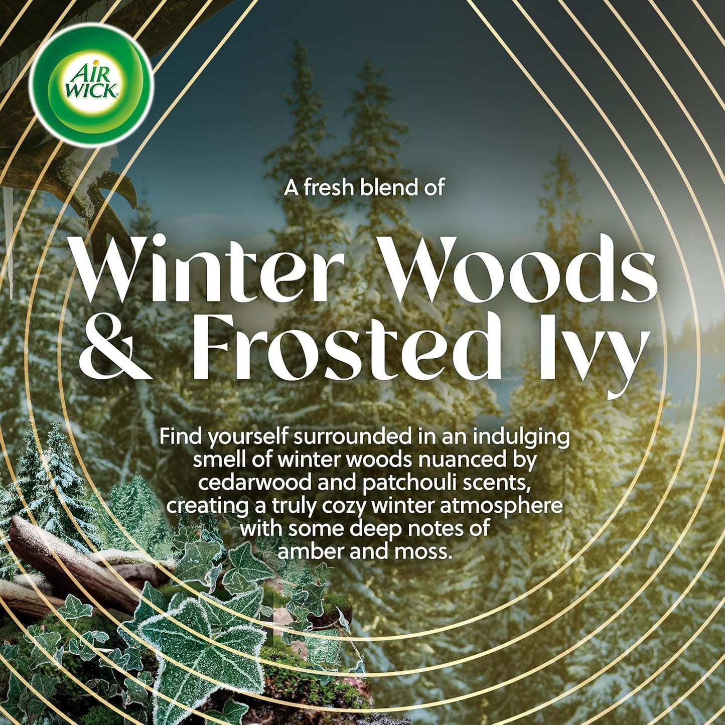 Air Wick Plug In Vibrant Scented Oil, Campfire + Winter Woods, Air Fresheners for Home Long Lasting,Home Room Fresheners,Air Freshener Plug In, House Essentials for Small Spaces + Large Spaces,5 ct