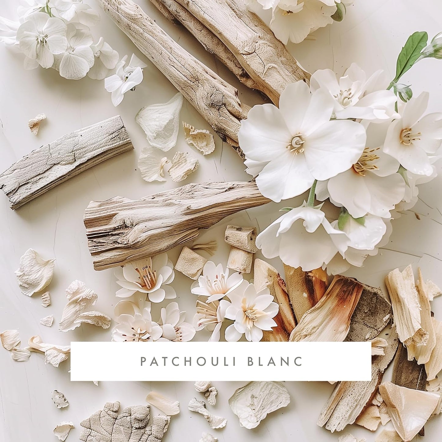 ScentAir Whisper Home Monthly Plug-in Refill, Fragrance Cartridge for Home and Office, Patchouli Blanc