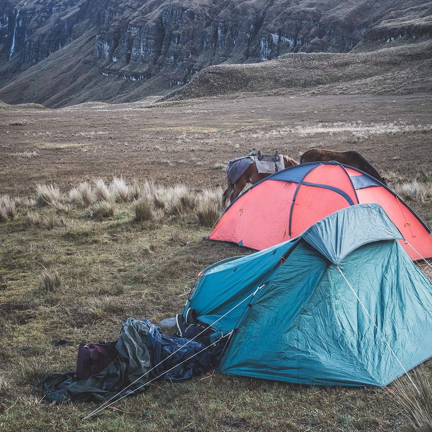 Gardzen 2-Pack 100' x φ1/4" White Rope, UV Resistant Rope for Flag Pole, Clothes line, Camping Tent, Canoes, Tree Work